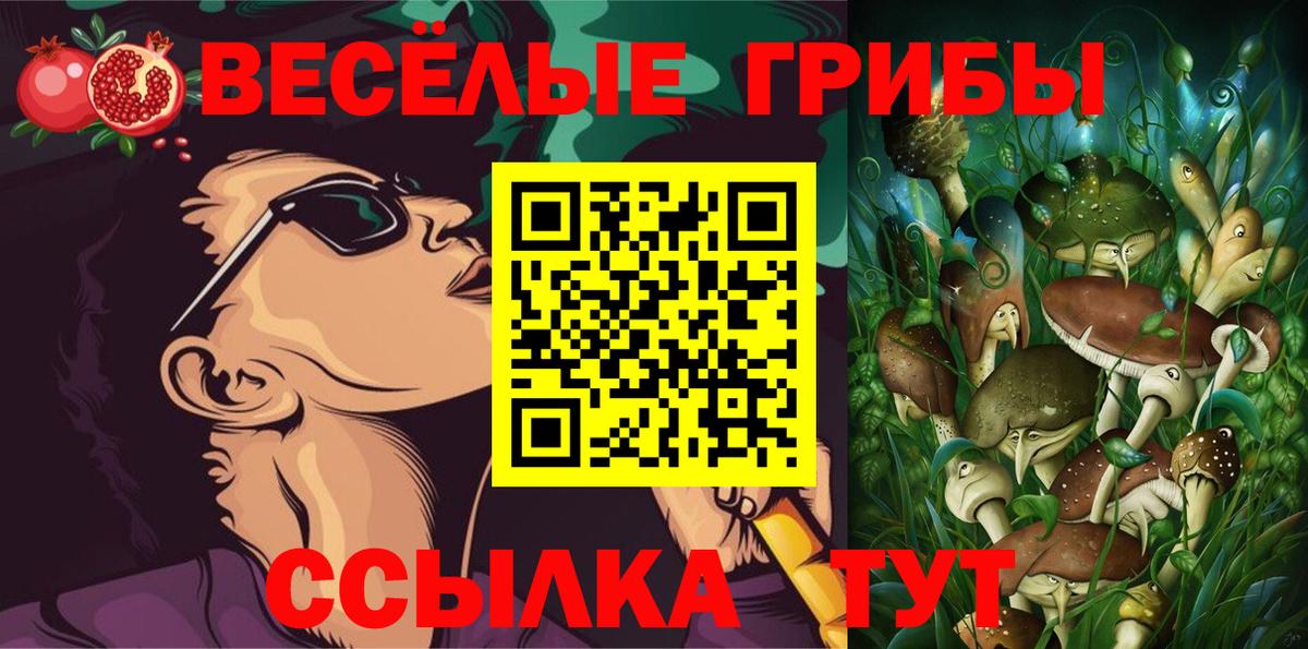 Псилоцибиновые грибы GOLDEN TEACHER Тверь