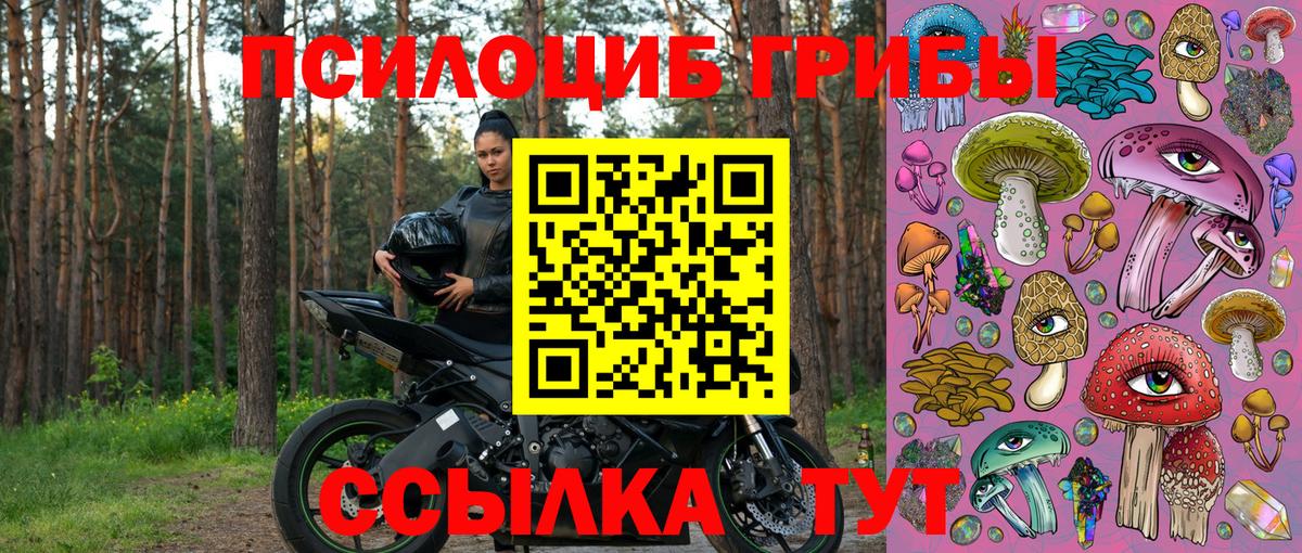 Тверь  Псилоцибиновые грибы Psilocybine cubensis  где продают наркотики  Вход с VPN  Псилоцибиновые грибы Magic Shrooms 